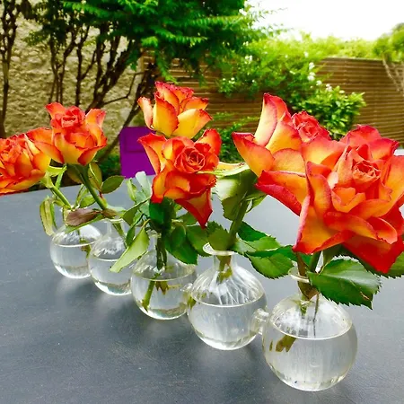 Bed & Breakfast Le Clos De La Bastide *